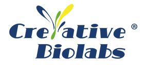 creative-biolabs